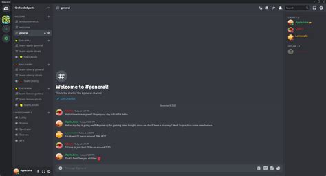 Community / Discord servers · wiki .